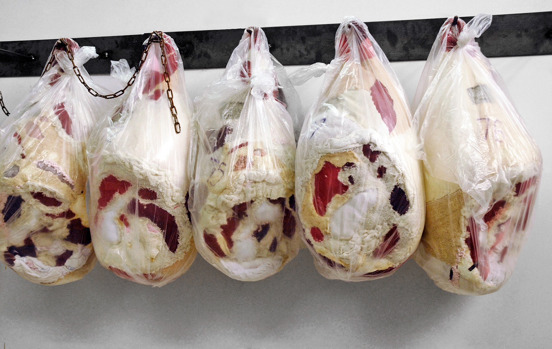 "One and a Half" 2008 (Detail) | Discarded Clothing, Plastic Bags, Metal Hooks | 122 x 36 x 22 in.