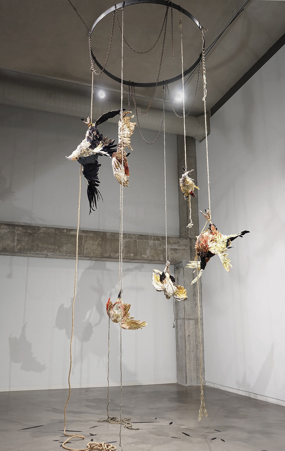 "Relic" 2015 (Installation View) | Solo Exhibition at UICA, Grand Rapids, Michigan 