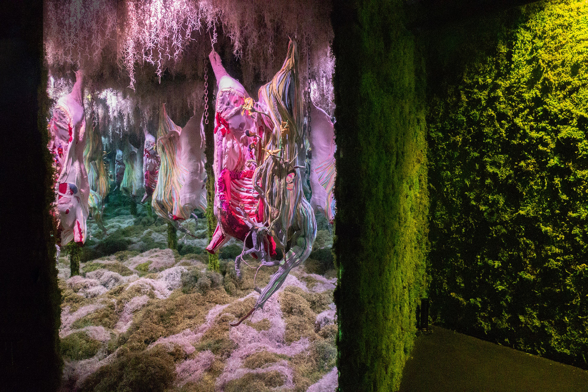 "Alchemy" 2019 (Installation view, Istituto Marangoni, Miami FL) | Discarded clothing, moss, meat hooks