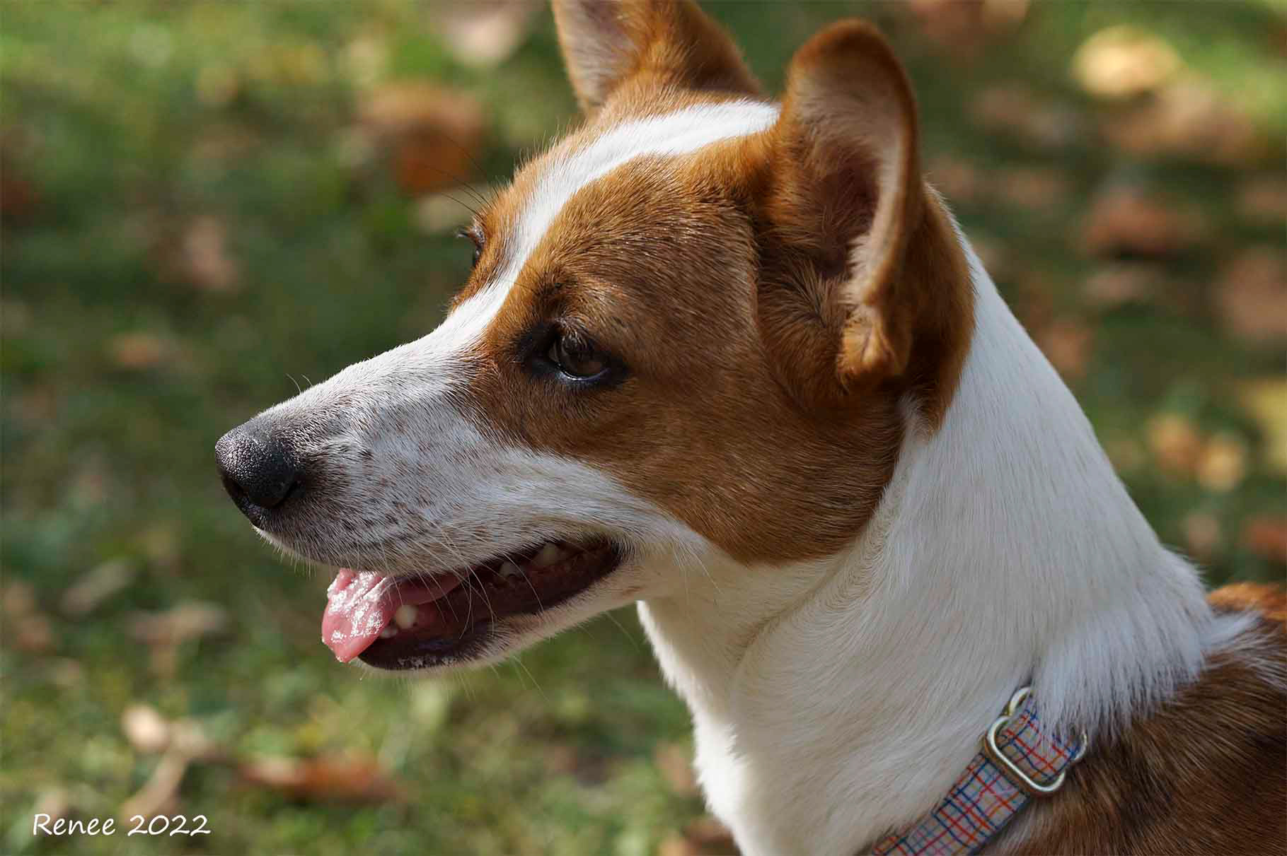 Zoey