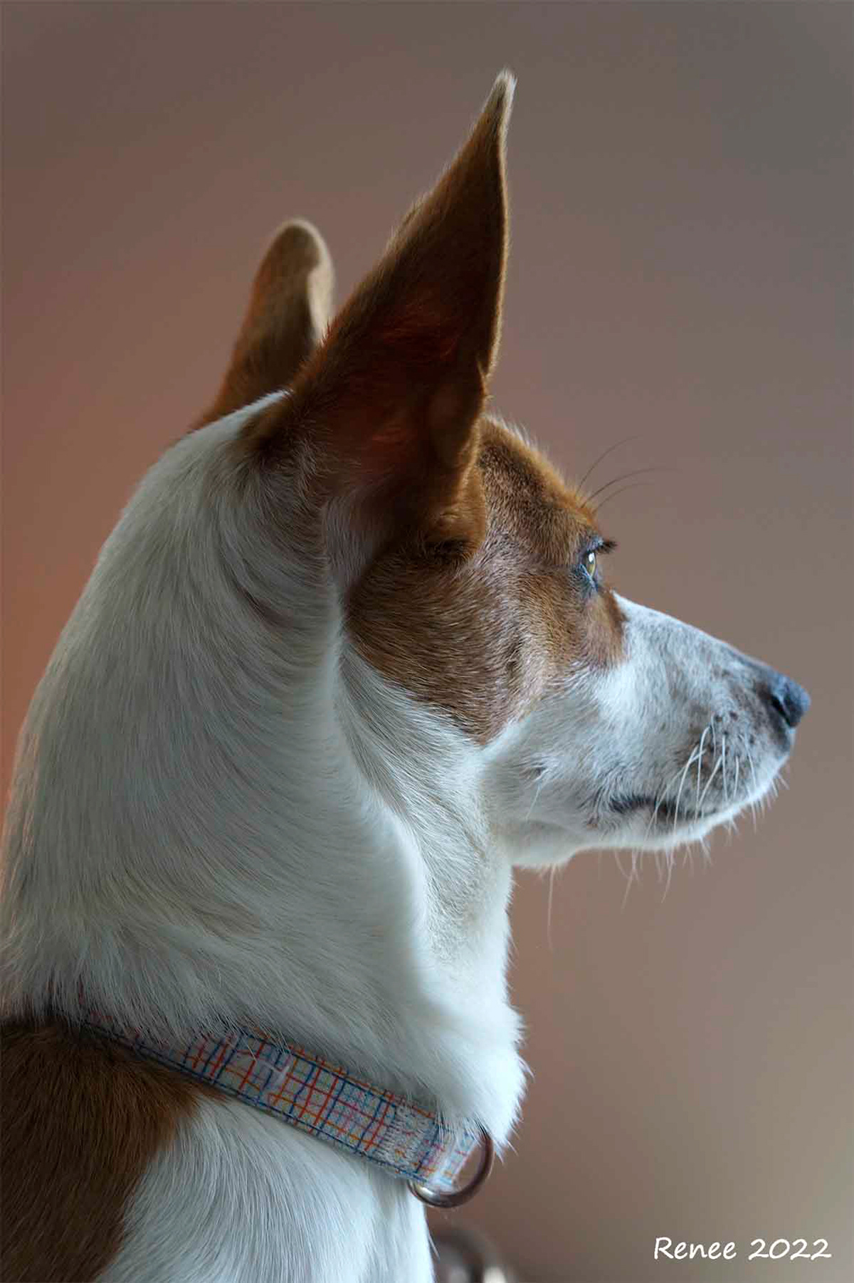 Zoey