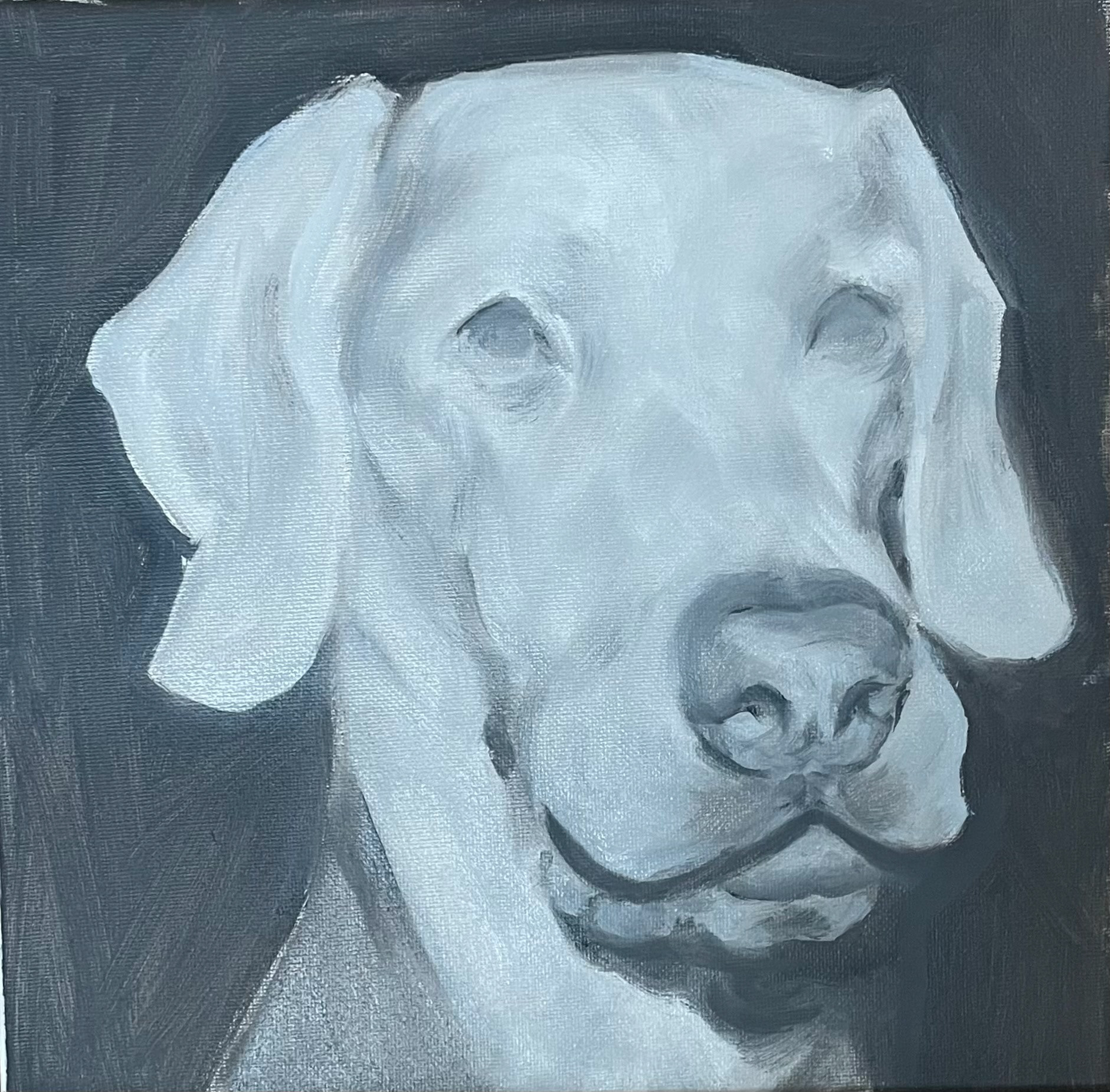 Smokey, 2024, Oil on canvas, 10 x 10 in (25.4 x 25.4 cm)