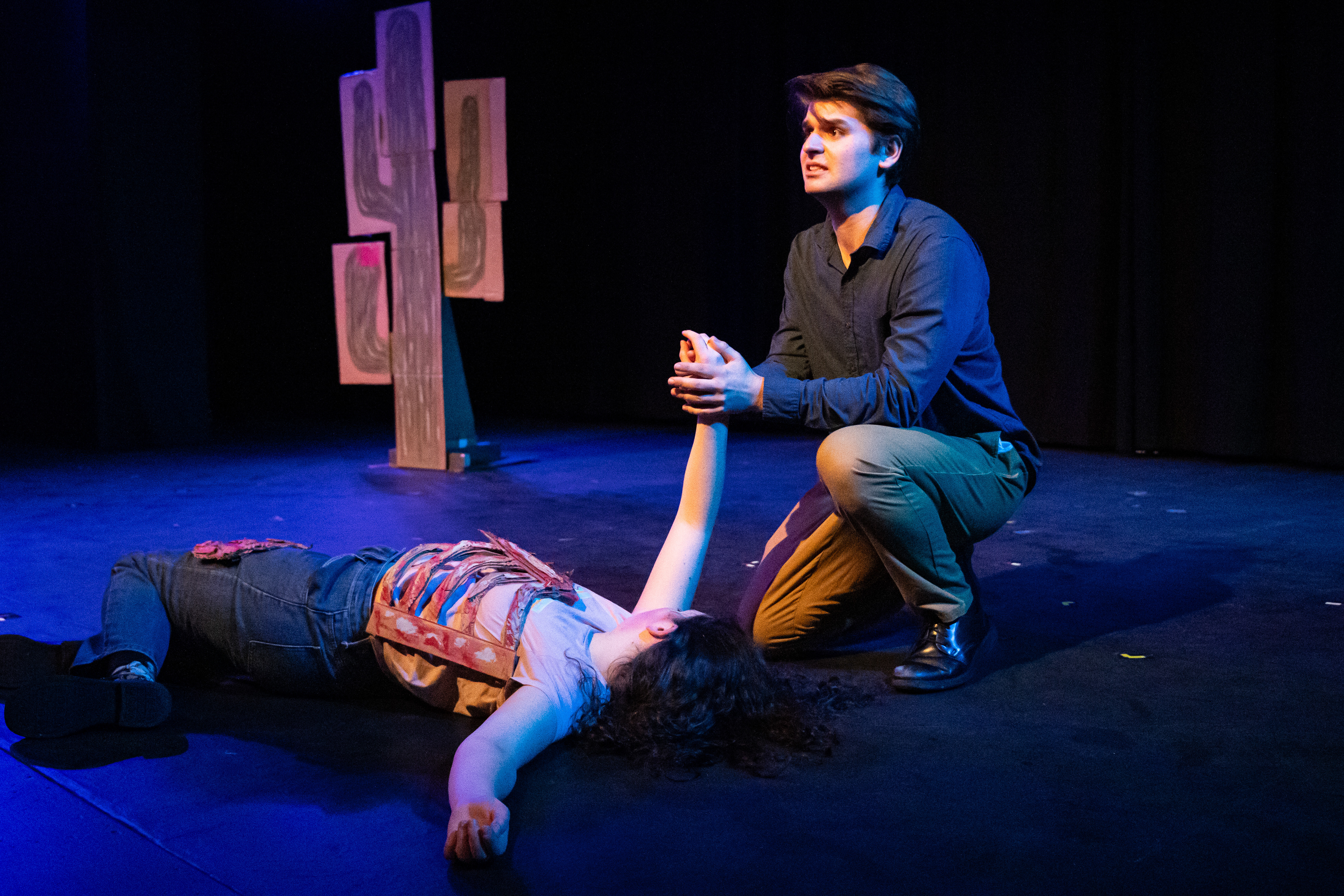 Cardboard Cactus, Desert Animals 