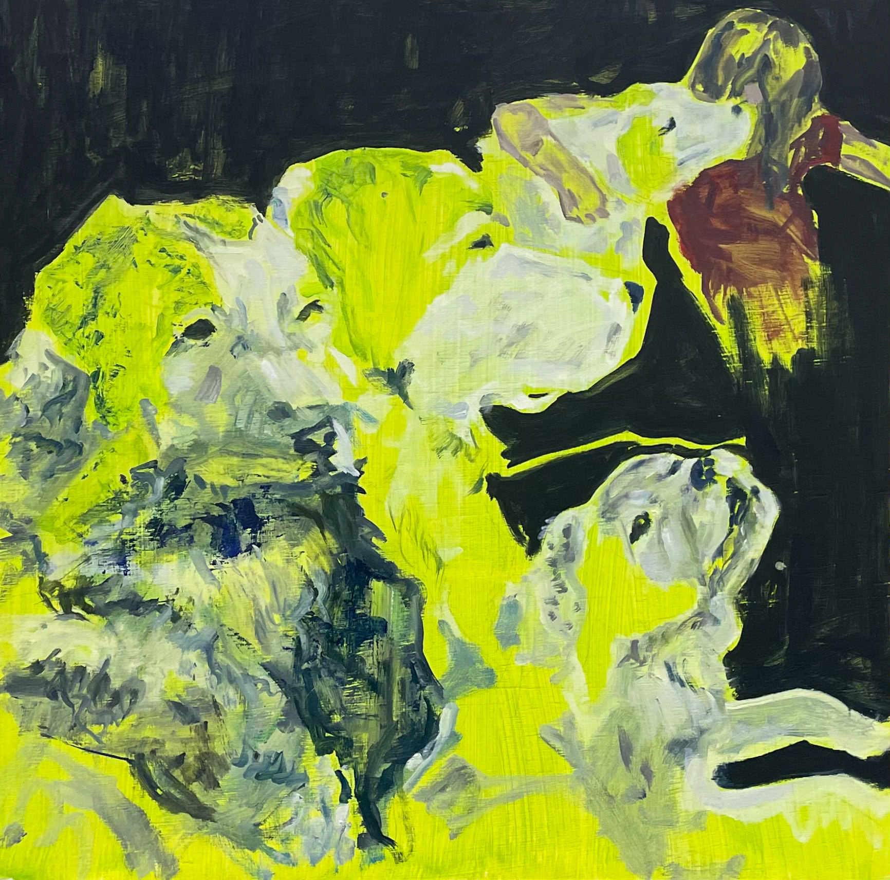 Toby, 2024, oil on wood, 2 x 2 ft. (0.6096 x 0.6096 m)