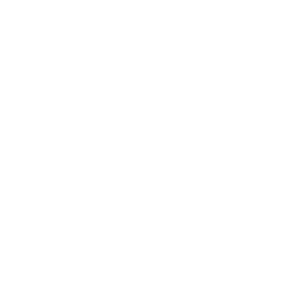 Leon Khoi Nguyen Vuong