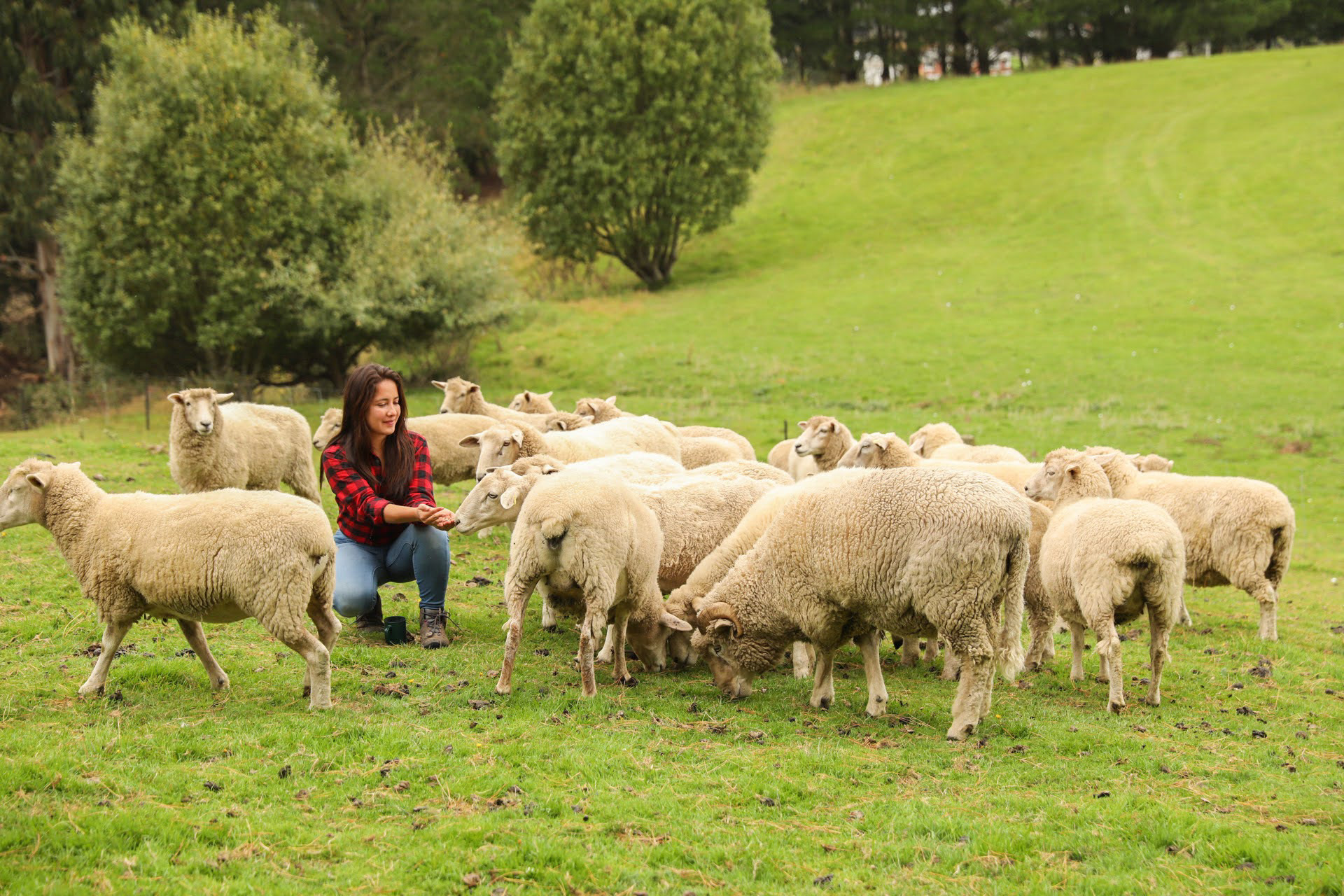 New Zealand