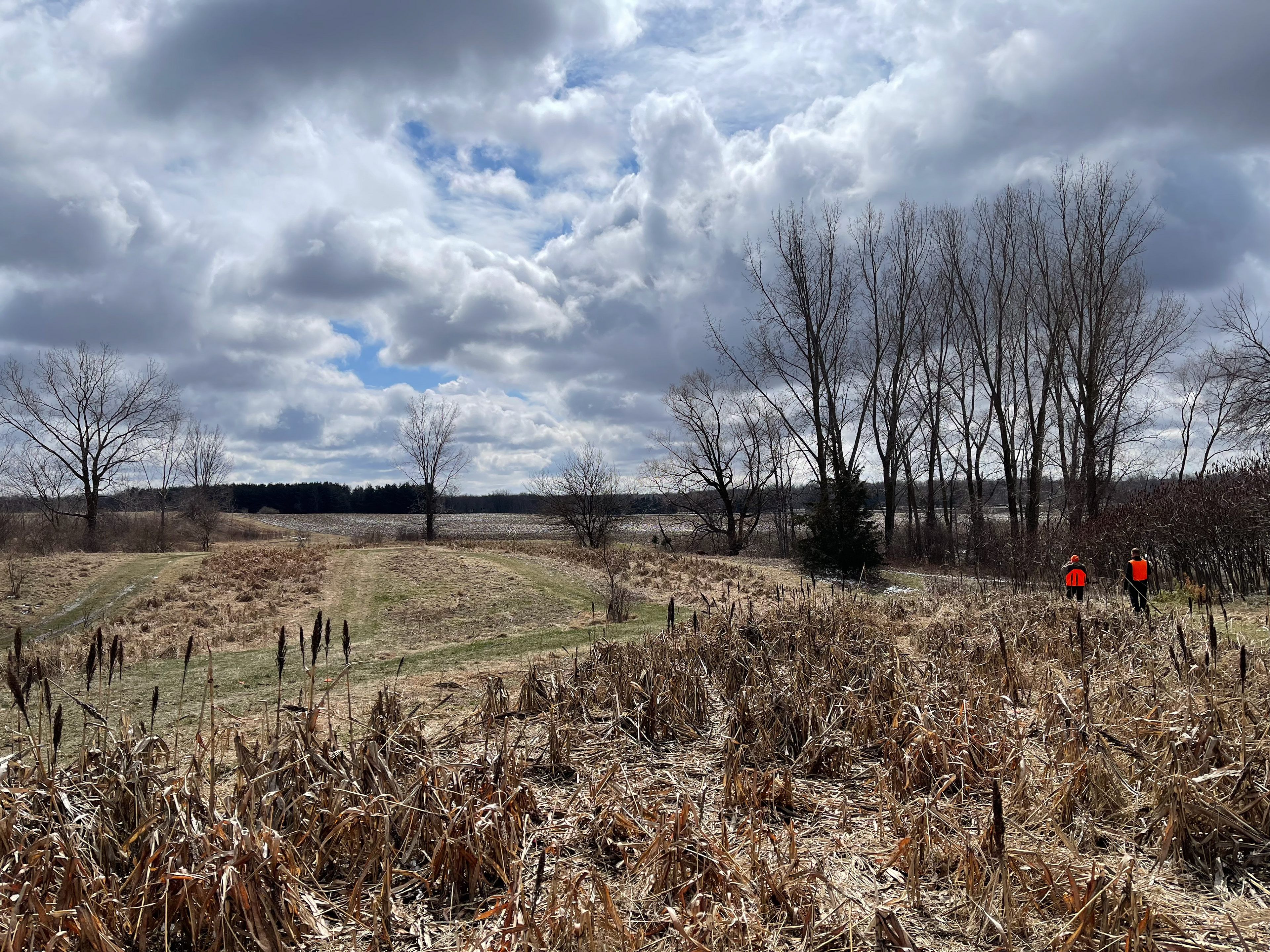Pheasant Hunt