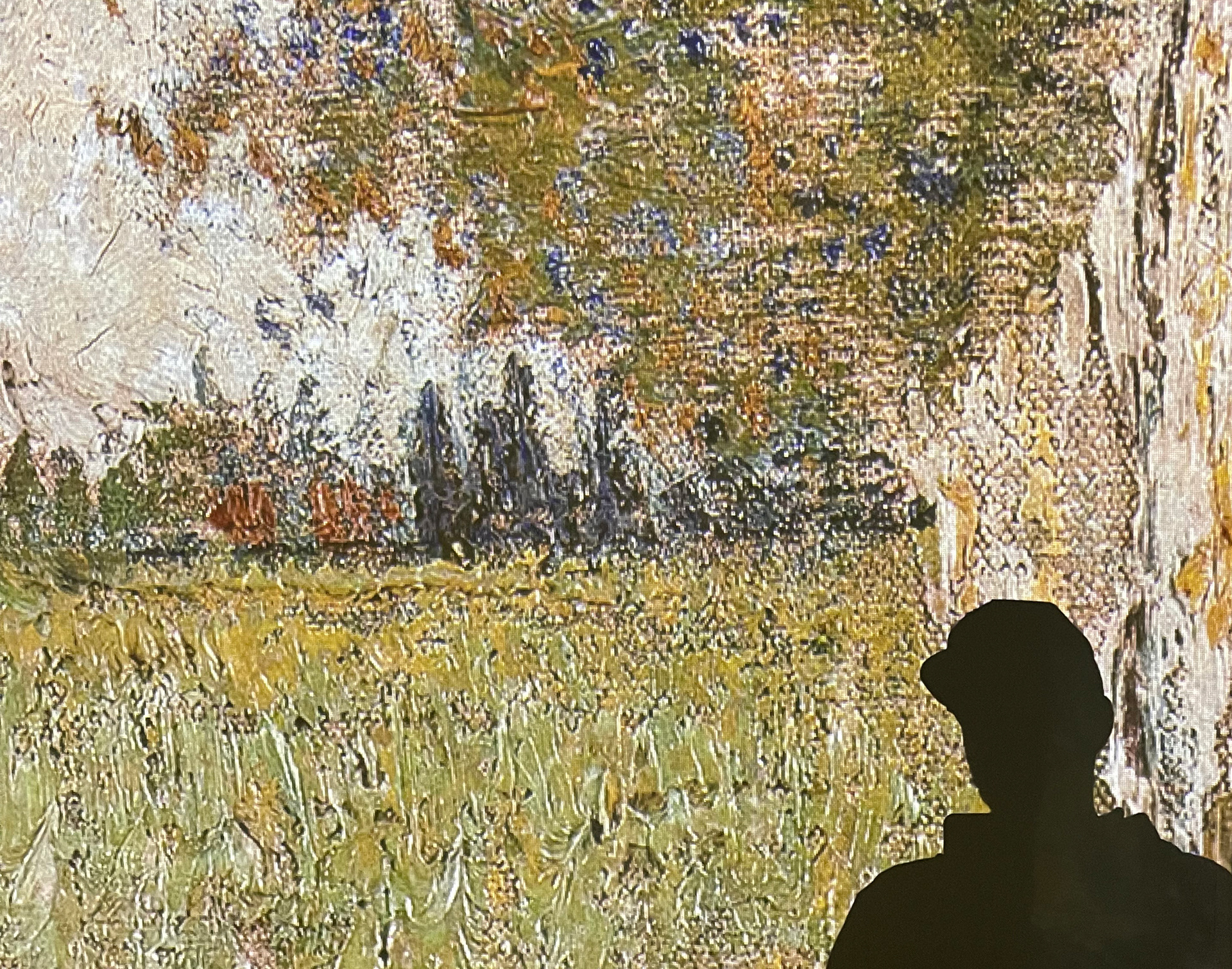 The Van Gogh Exhibit