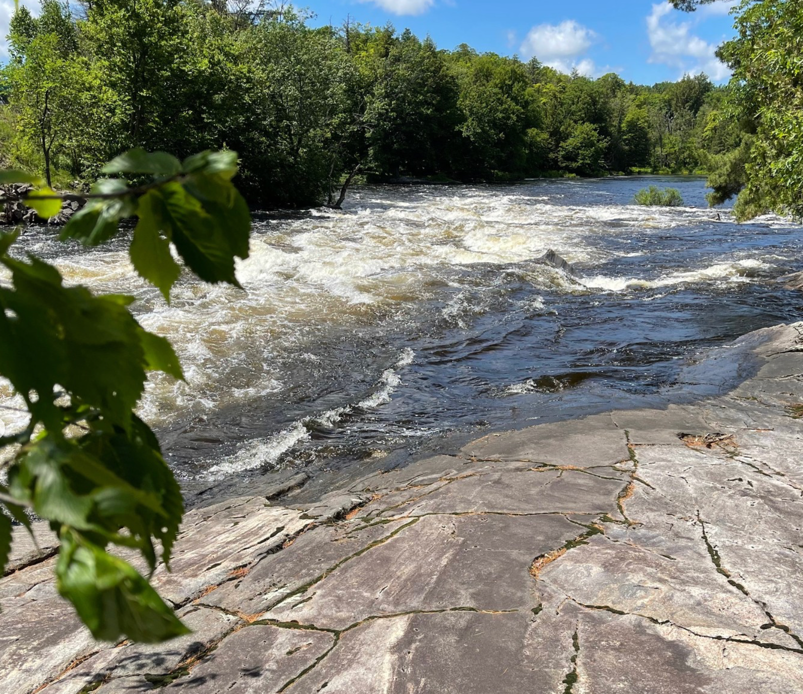 Algonquin Park