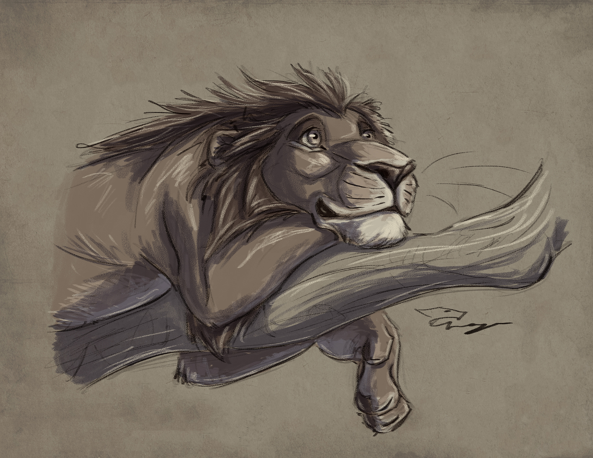 Lion in a Tree