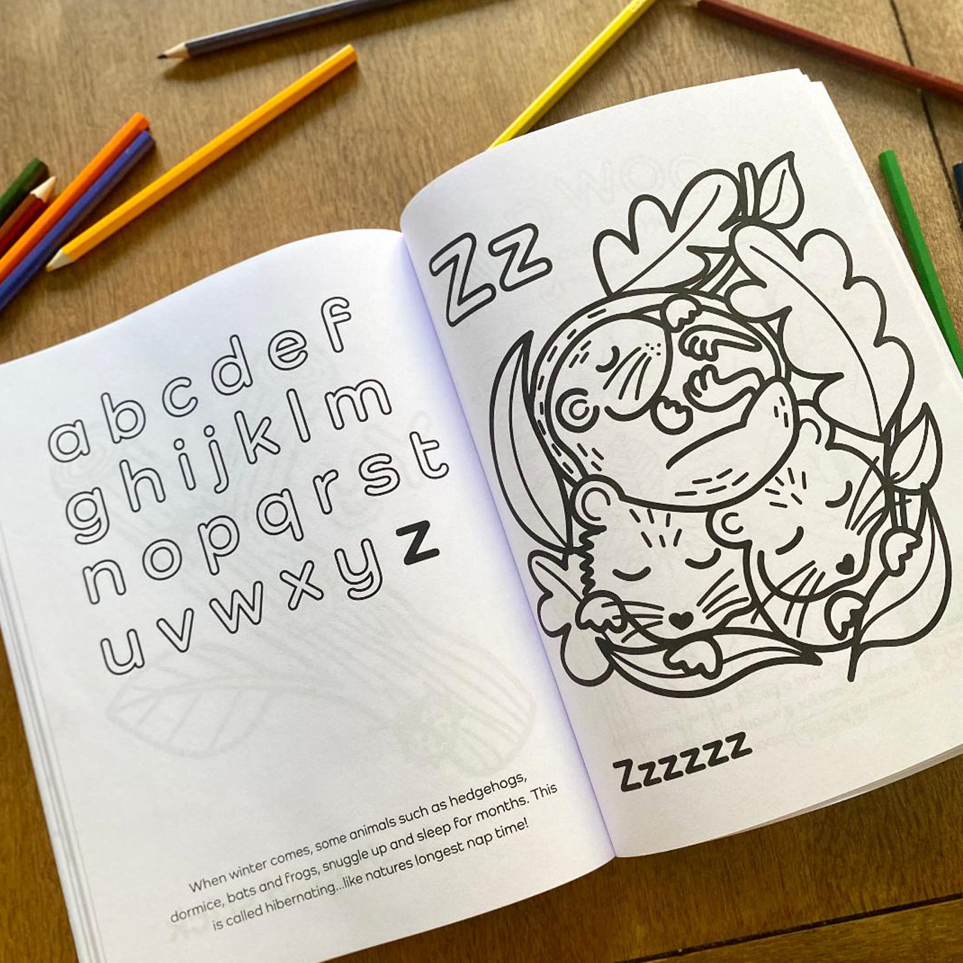 Woodland Alphabet Colouring Boook