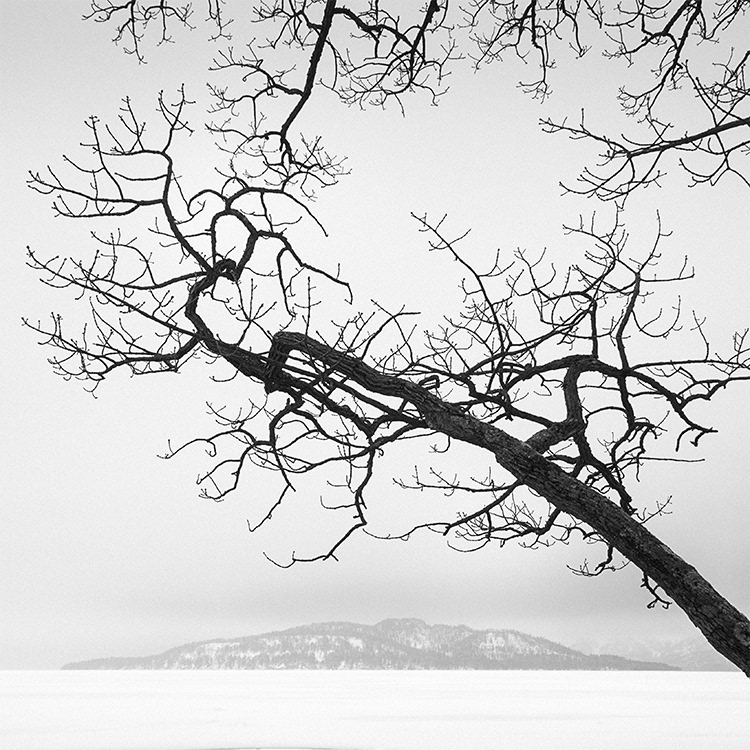 Kussharo Lake Tree and Nakajima islamd.