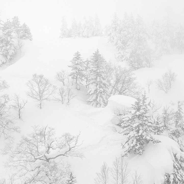吹雪の十勝岳温泉の写真