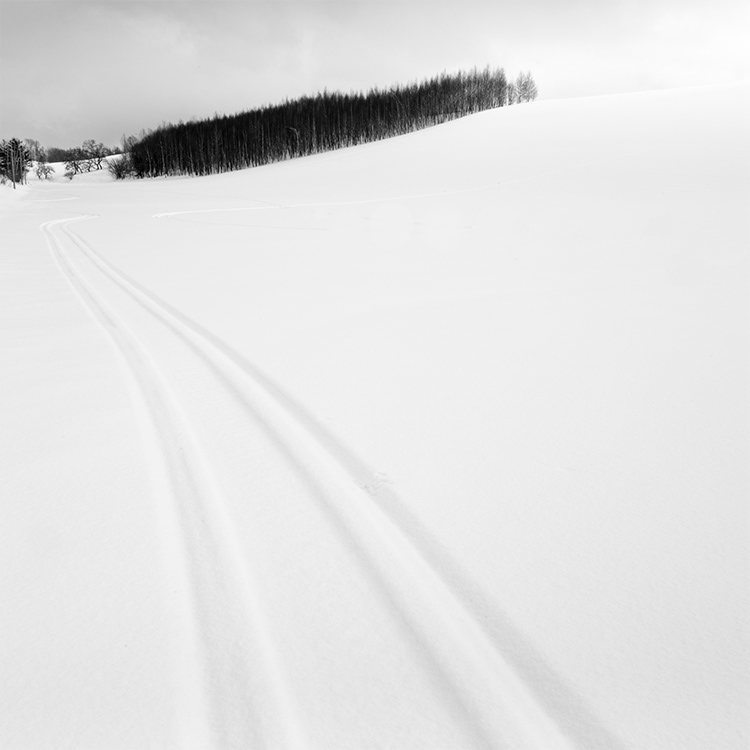 美瑛、丘を登るスノーモービルのあと