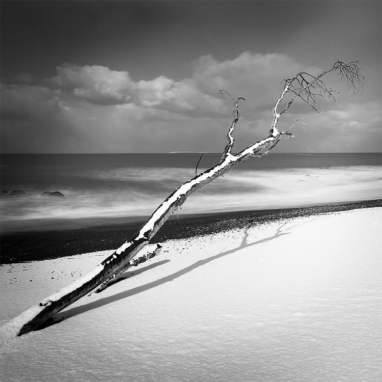 北海道の海岸で撮影した波と木のスローシャッター写真