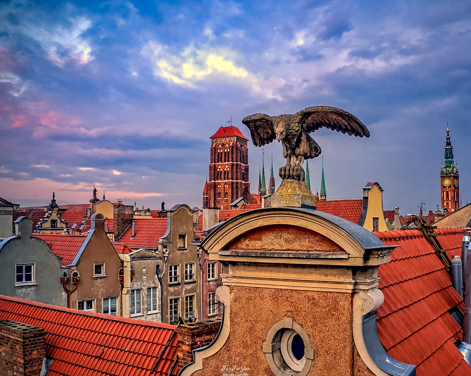 Główne Miasto, Orzeł czuwa