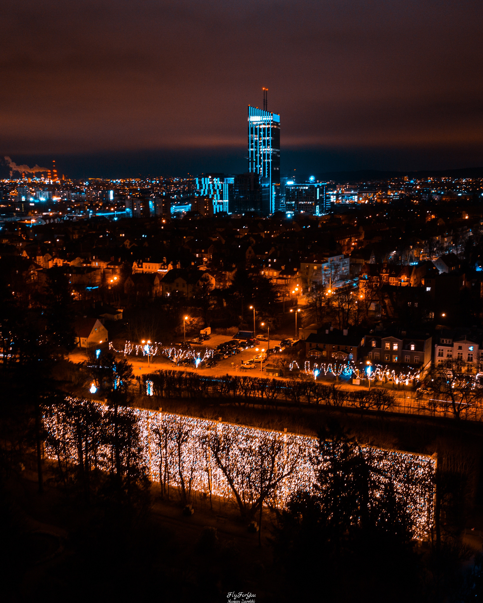 Widok od Parku Oliwskiego, w tle Olivia Business Centre