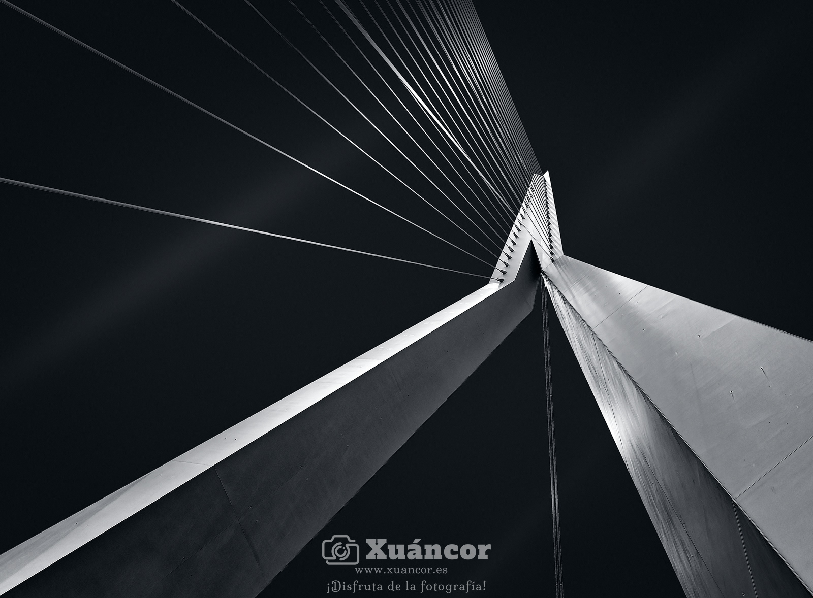 Erasmusbrug - Rotterdam