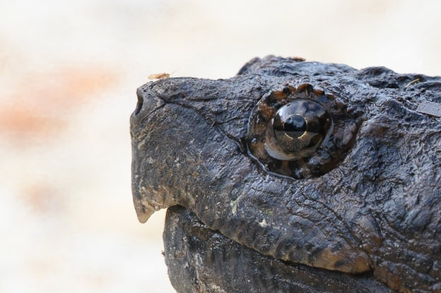 It's the little things in life that are so mesmerizing!