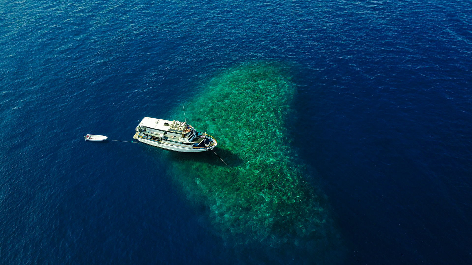 MV Febrina on coral reef