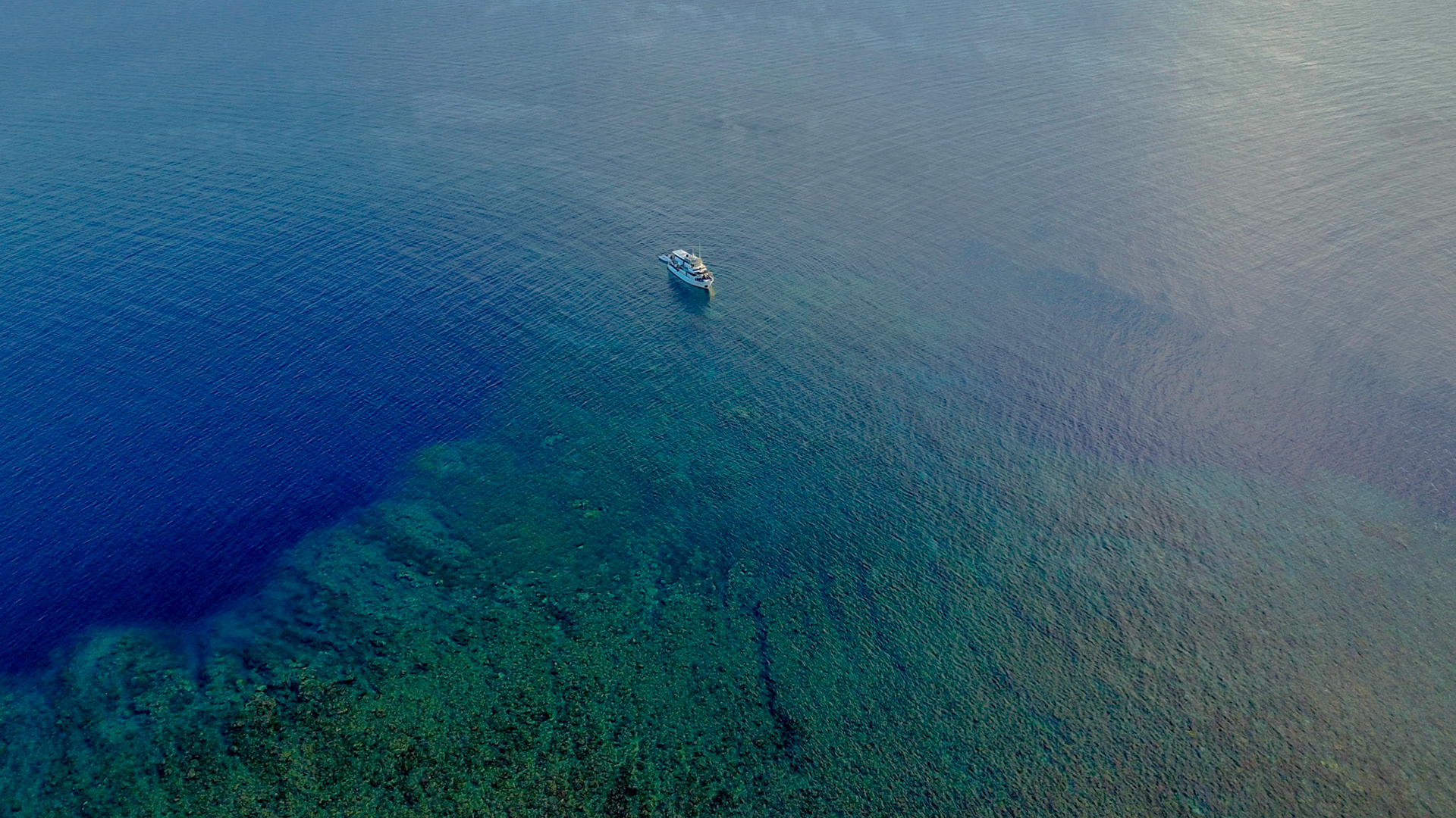 MV Febrina at Kimbe Island