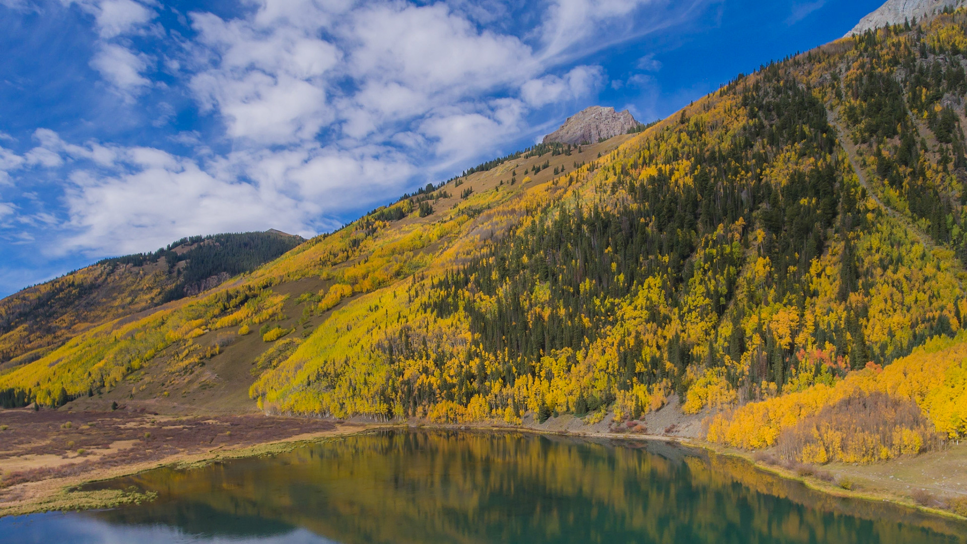 Fall Colors near Aspen, Colorado