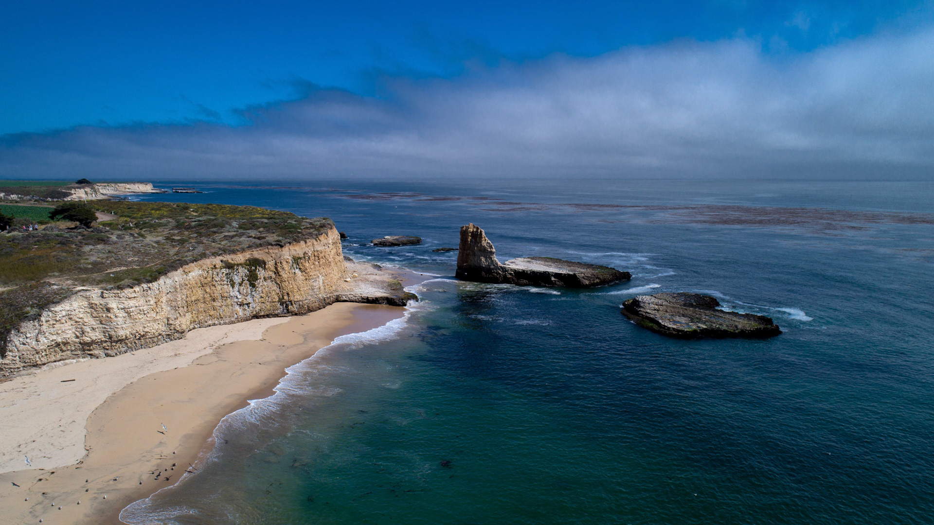 Santa Cruz Beach