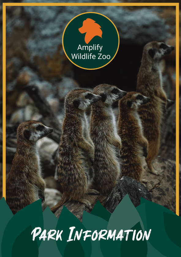 Amplify Wildlife Zoo Brochure Cover