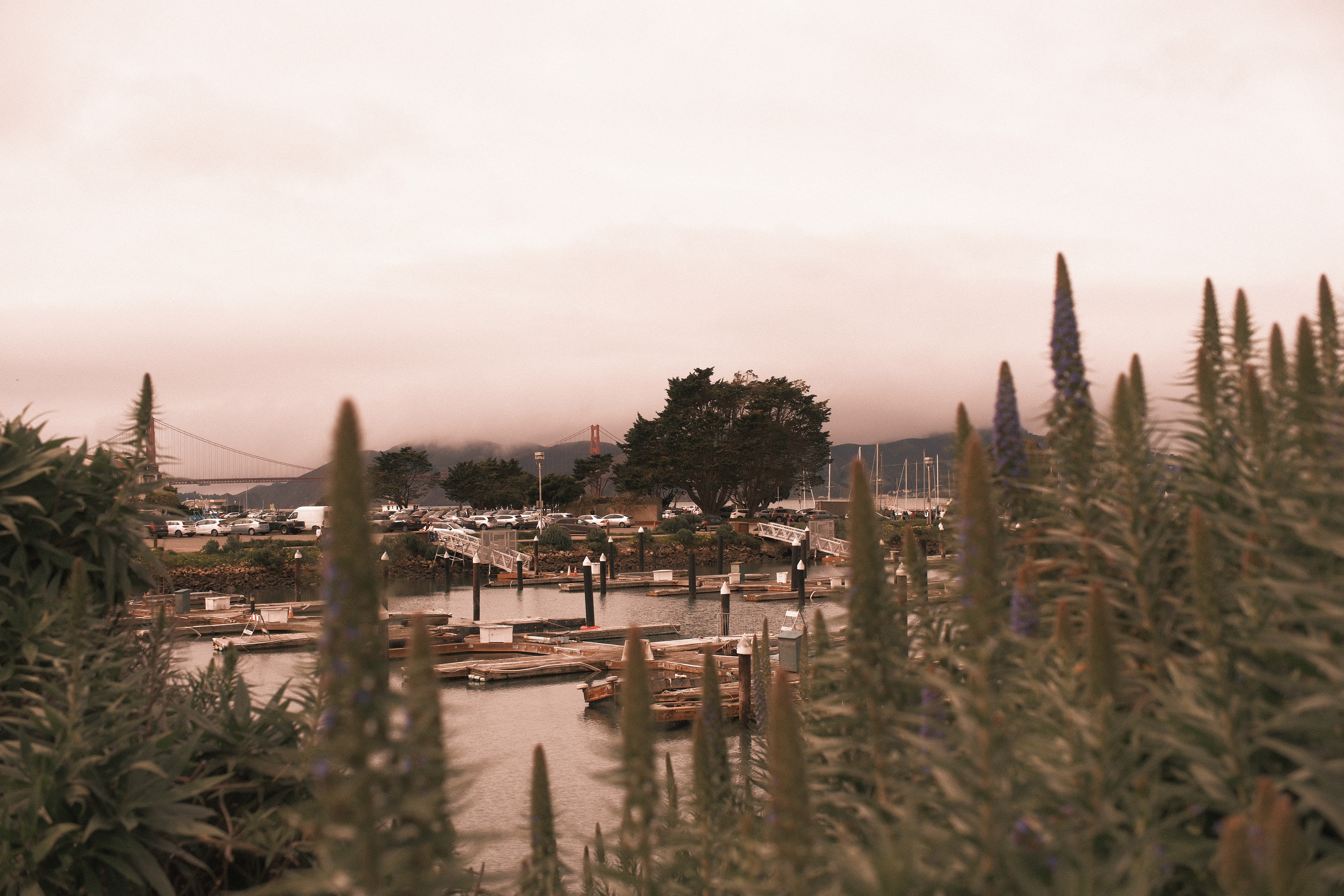 The Marina, San Francisco | March 9th, 2024