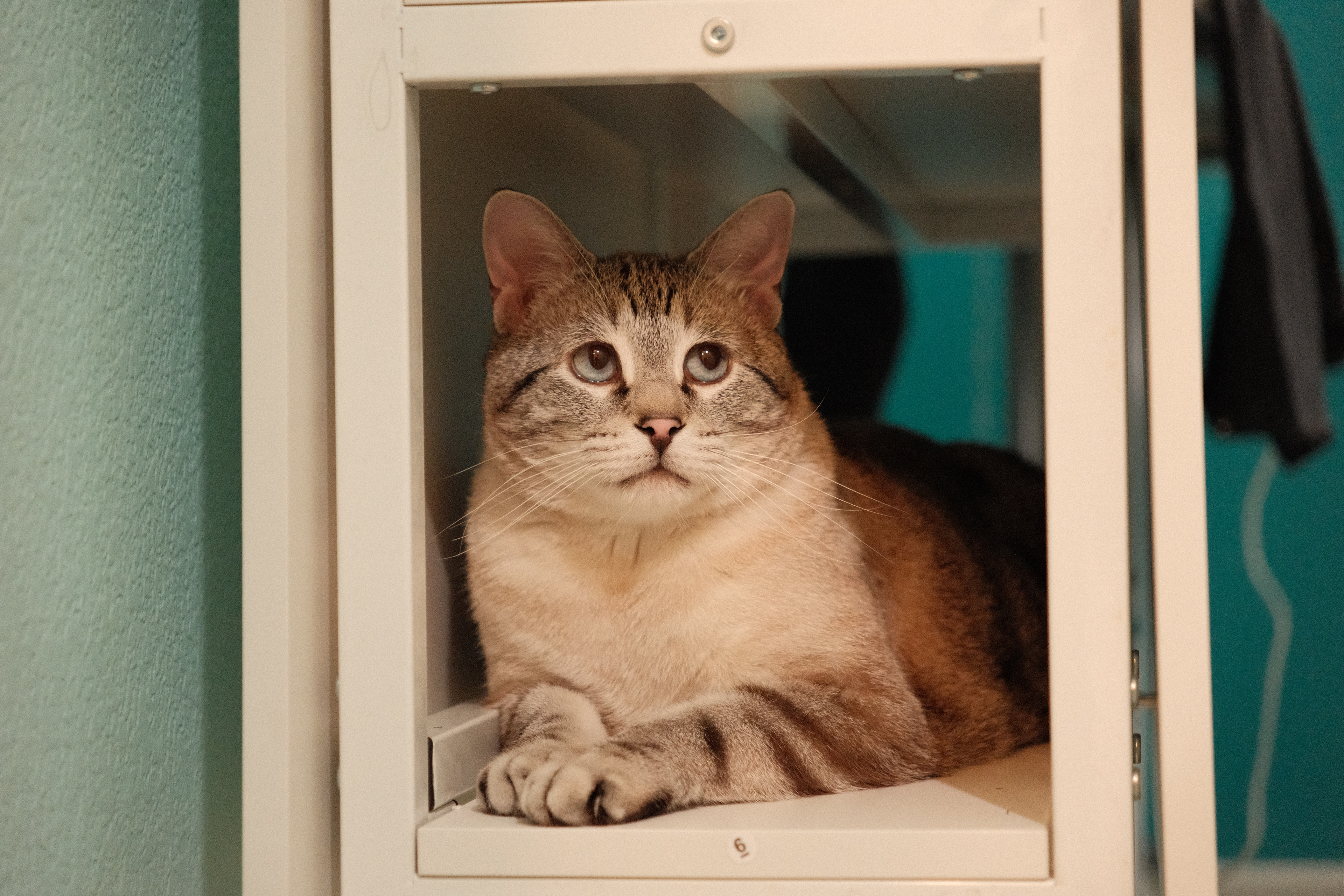 Oatmeal | April 28th, 2024