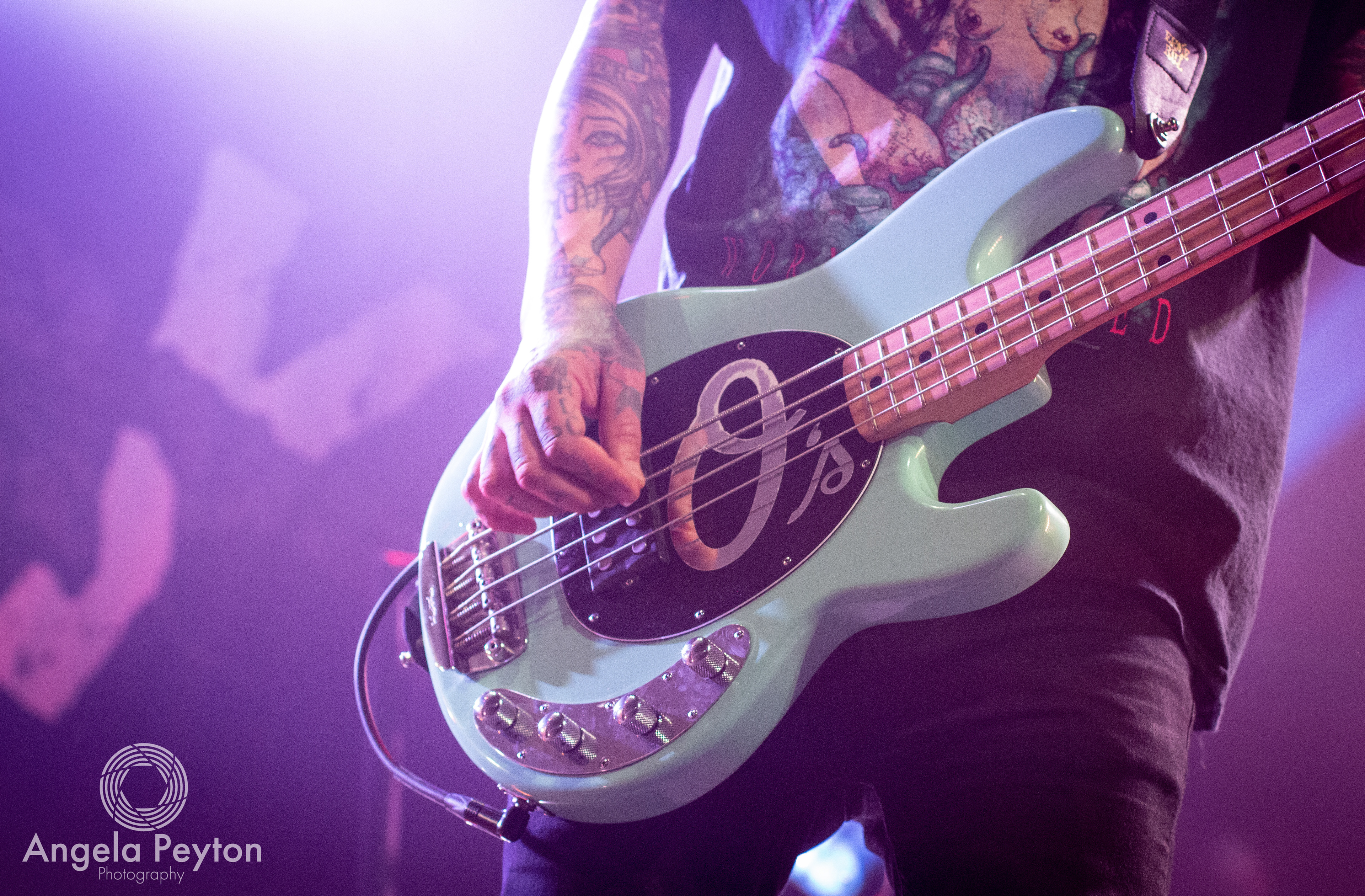 The Amity Affliction | The Catalyst