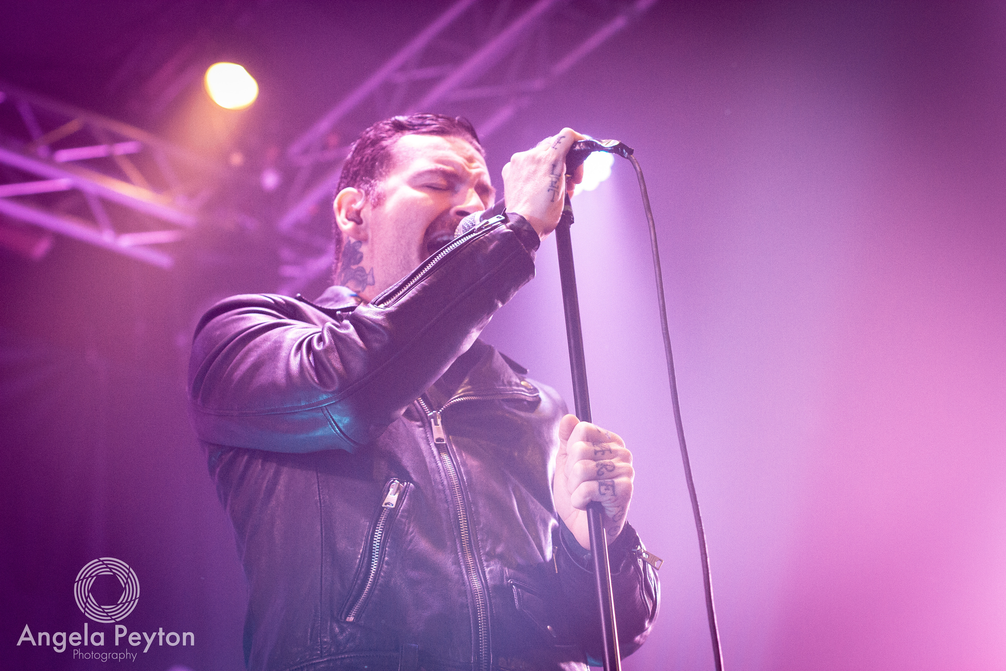 Senses Fail | The Catalyst