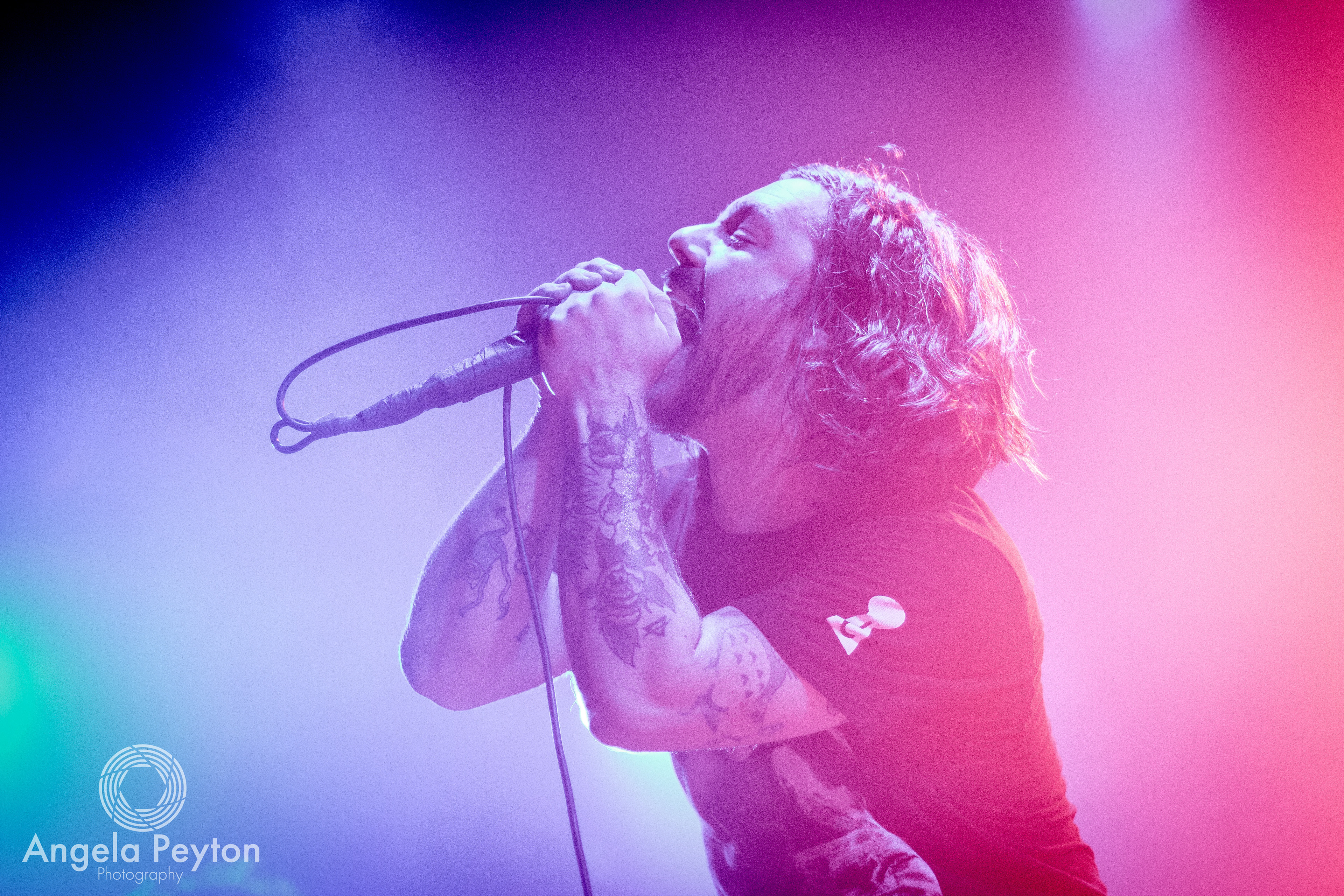 Royal Coda | The Catalyst