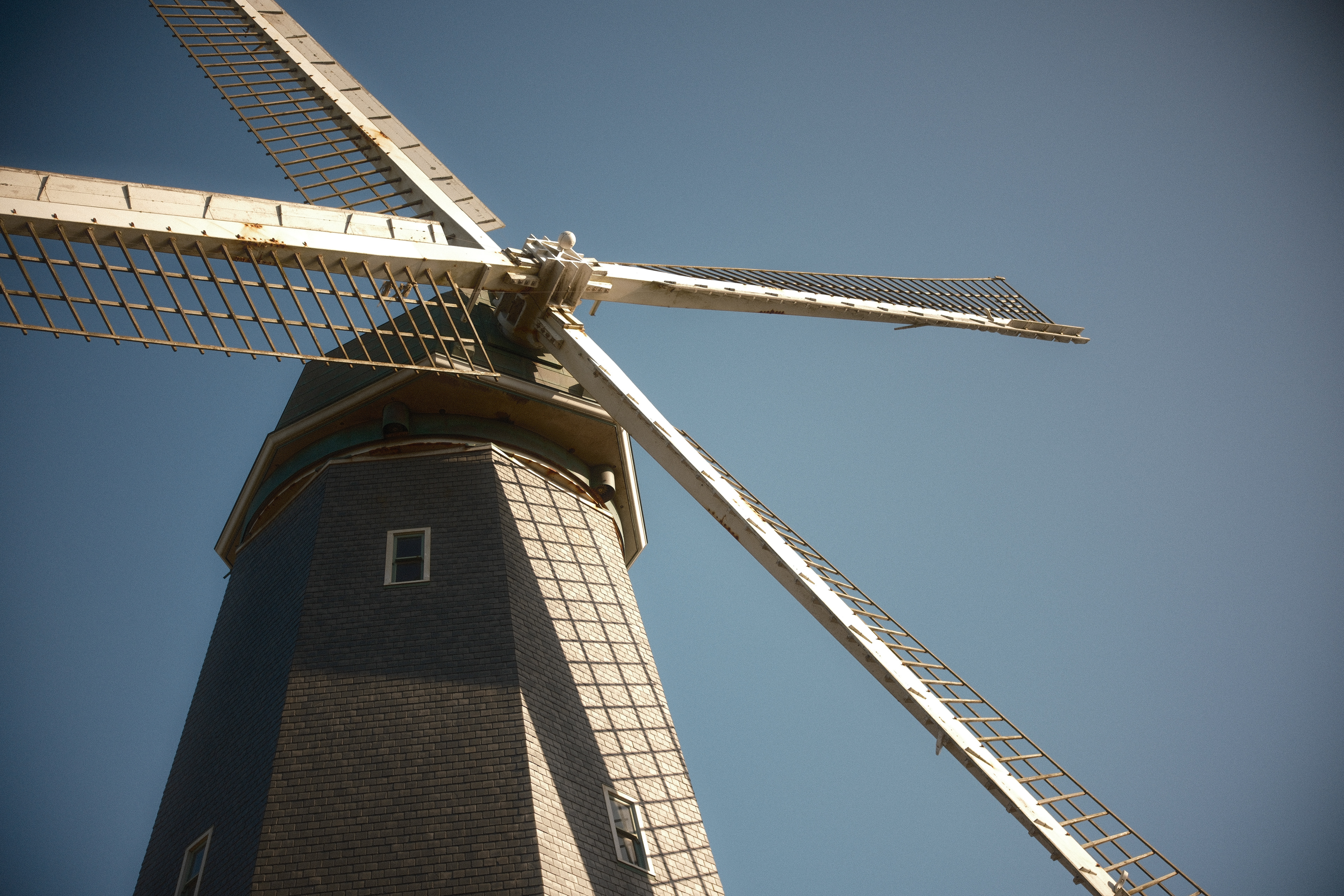 Murphy Windmill, Golden Gate Park | April 7th, 2024
