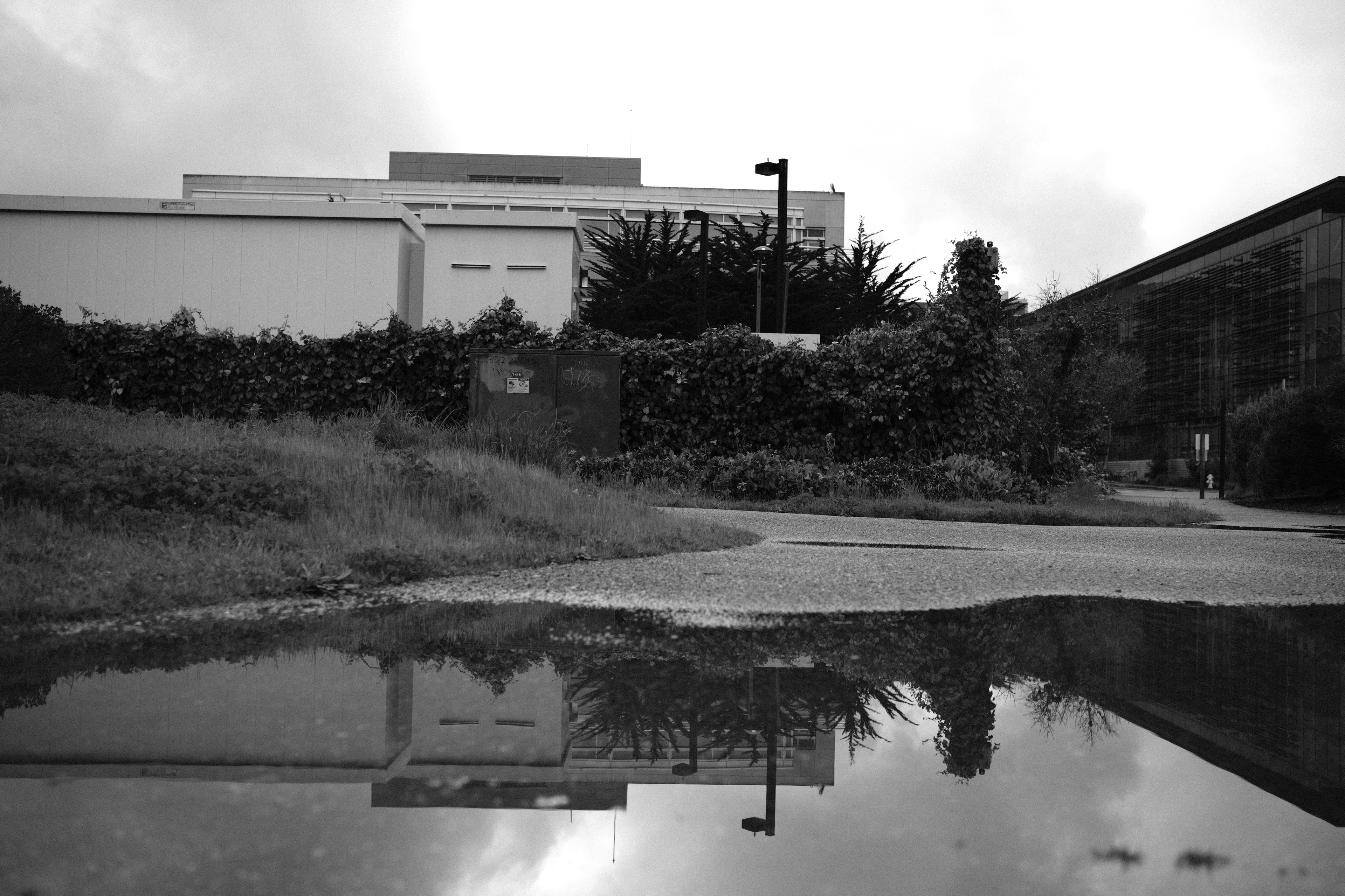 Bay Trail, South San Francisco | March 3rd, 2024