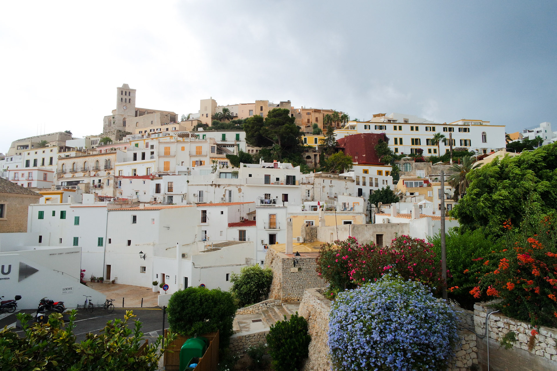 SAMSUNG CAMERA PICTURES