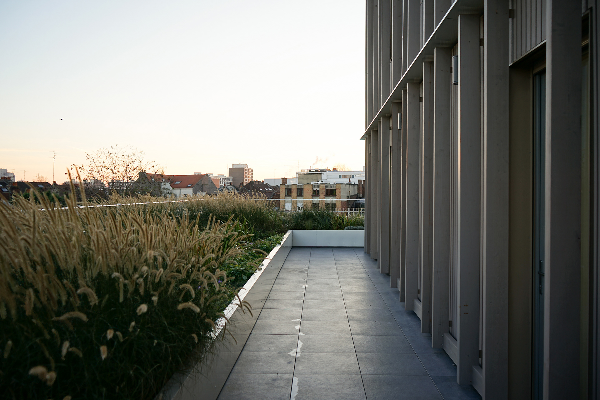WONK ARCHITECTES CAMPUS SAINT RAPHAEL, LILLE