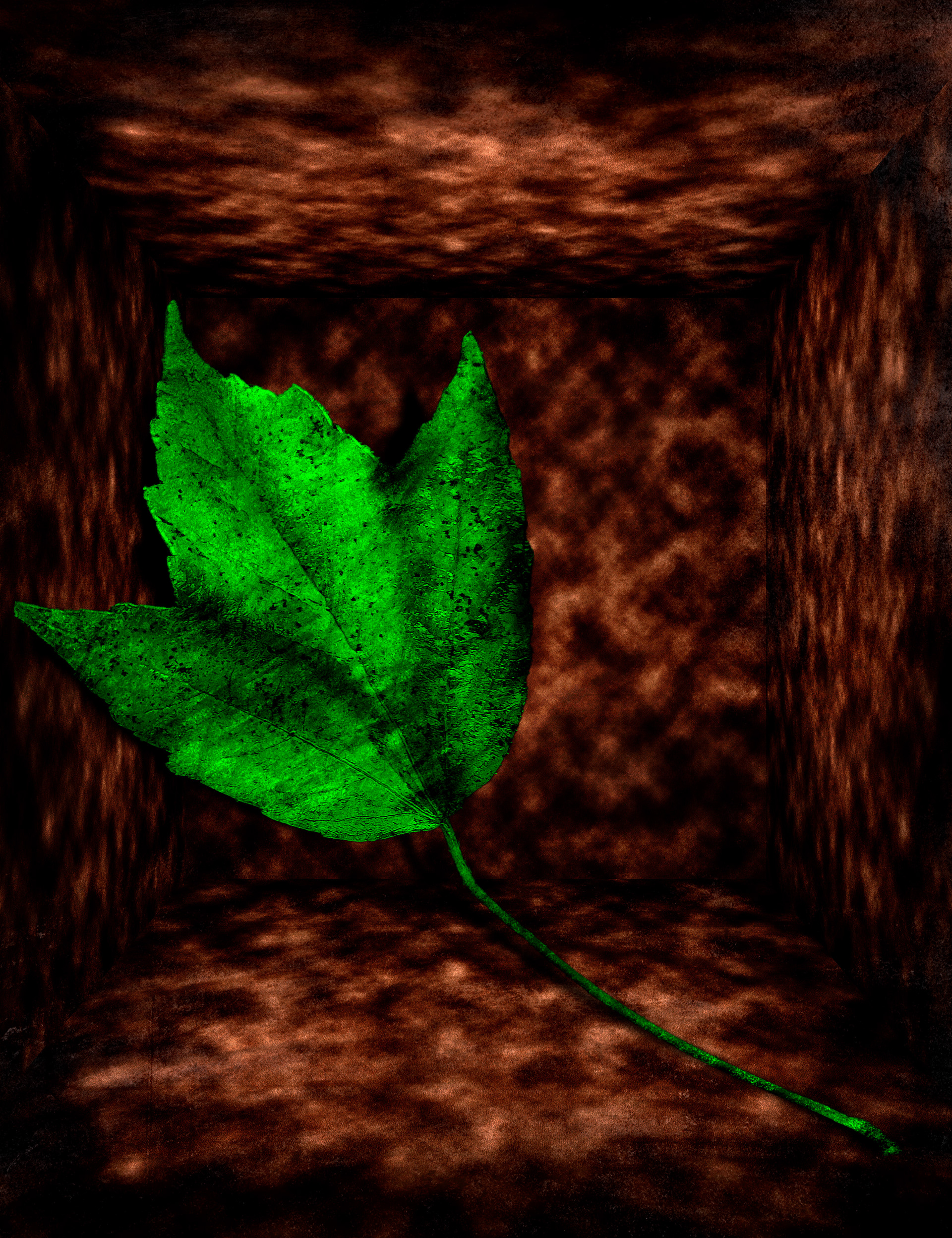 A Small Leaf