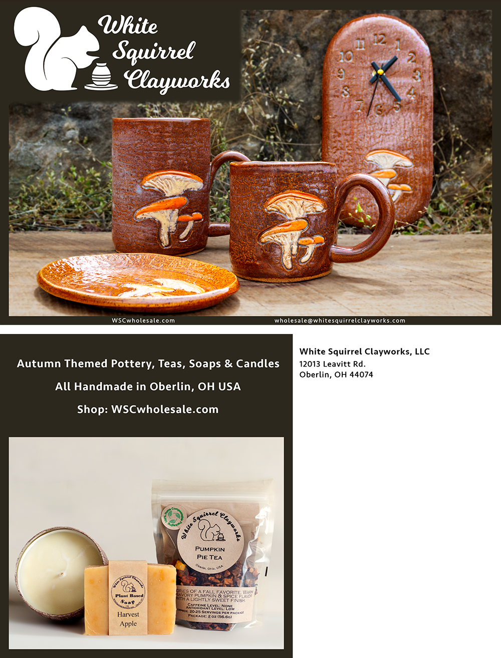 2024 WSC Fall Marketing Postcard