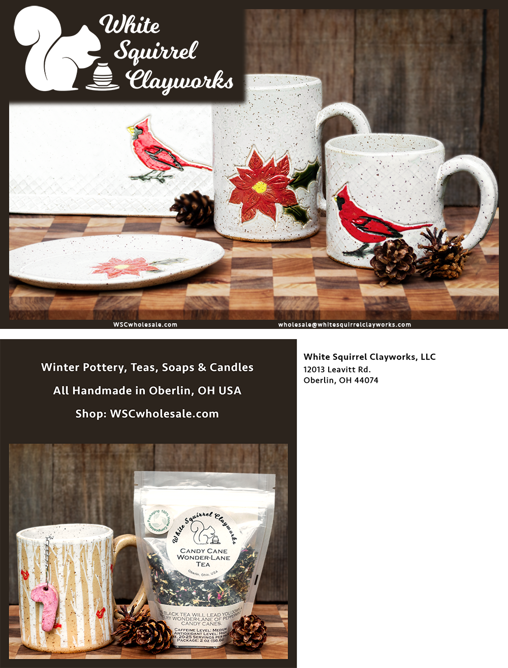 2024 WSC Winter Marketing Postcard