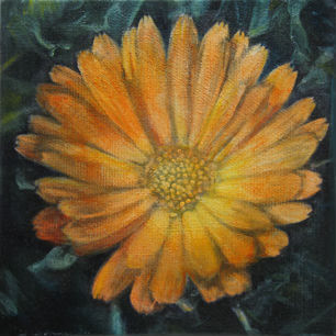 Flower 1 -2013       Oil on canvas 20x20 cm