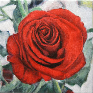 Flower 2-2013       Oil on canvas 20x20 cm