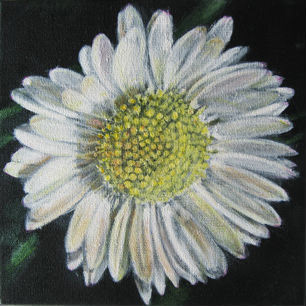 Flower 3 -2013       Oil on canvas 20x20 cm