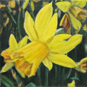 Flower 7-2013       Oil on canvas 20x20 cm