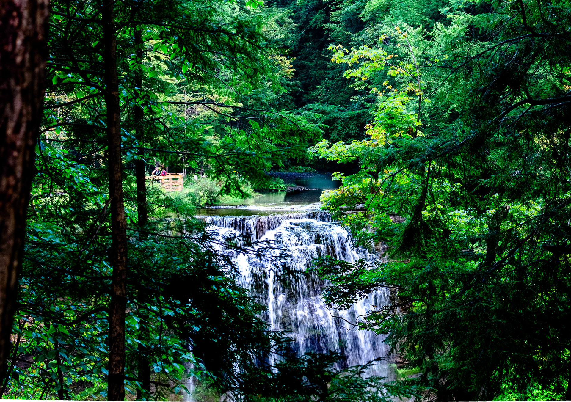 Delphi Falls