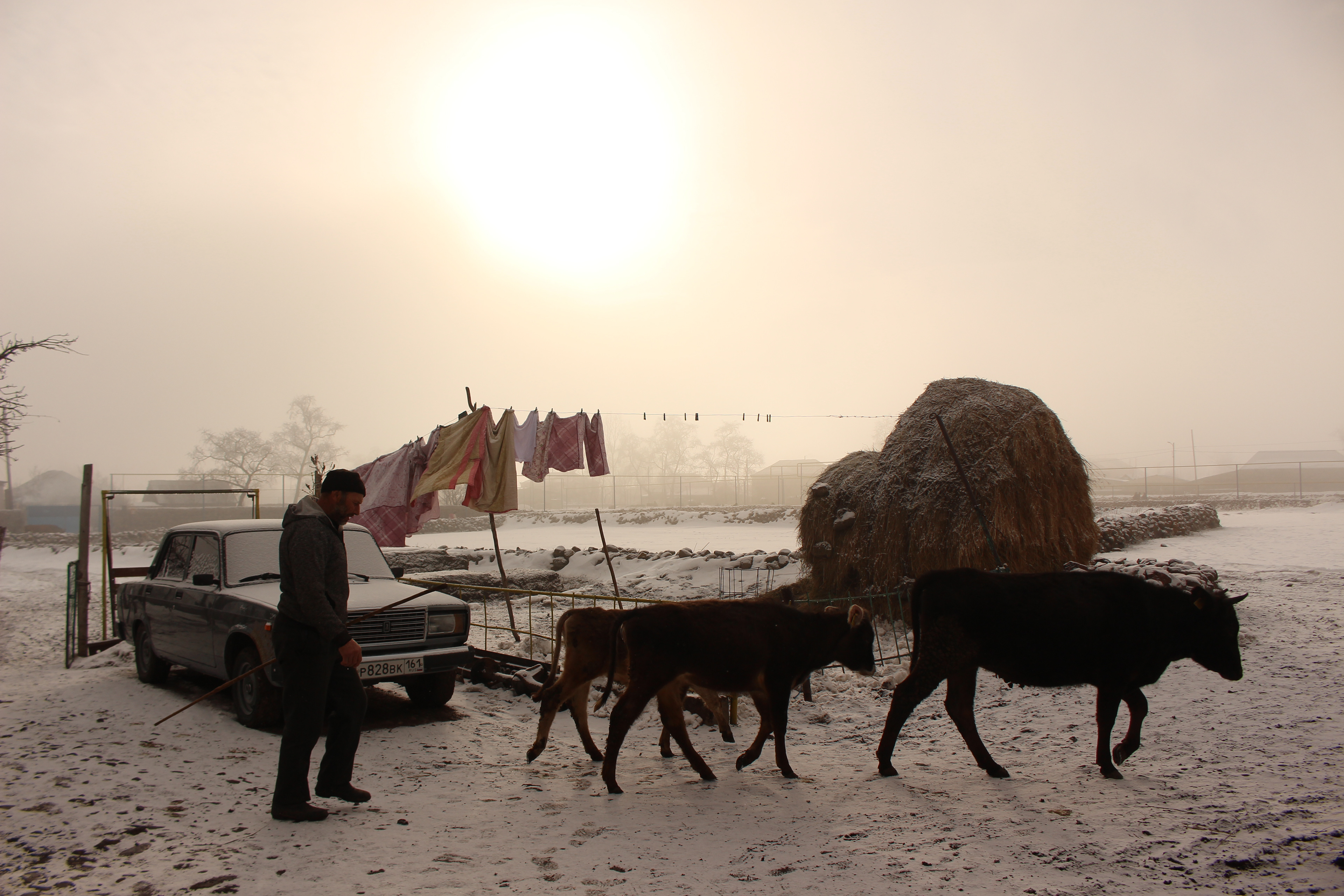 Novruz has arrived. “God is one”, says Oruc Yusubov, Yetar’s husband as he cares for his animals in the early hours.