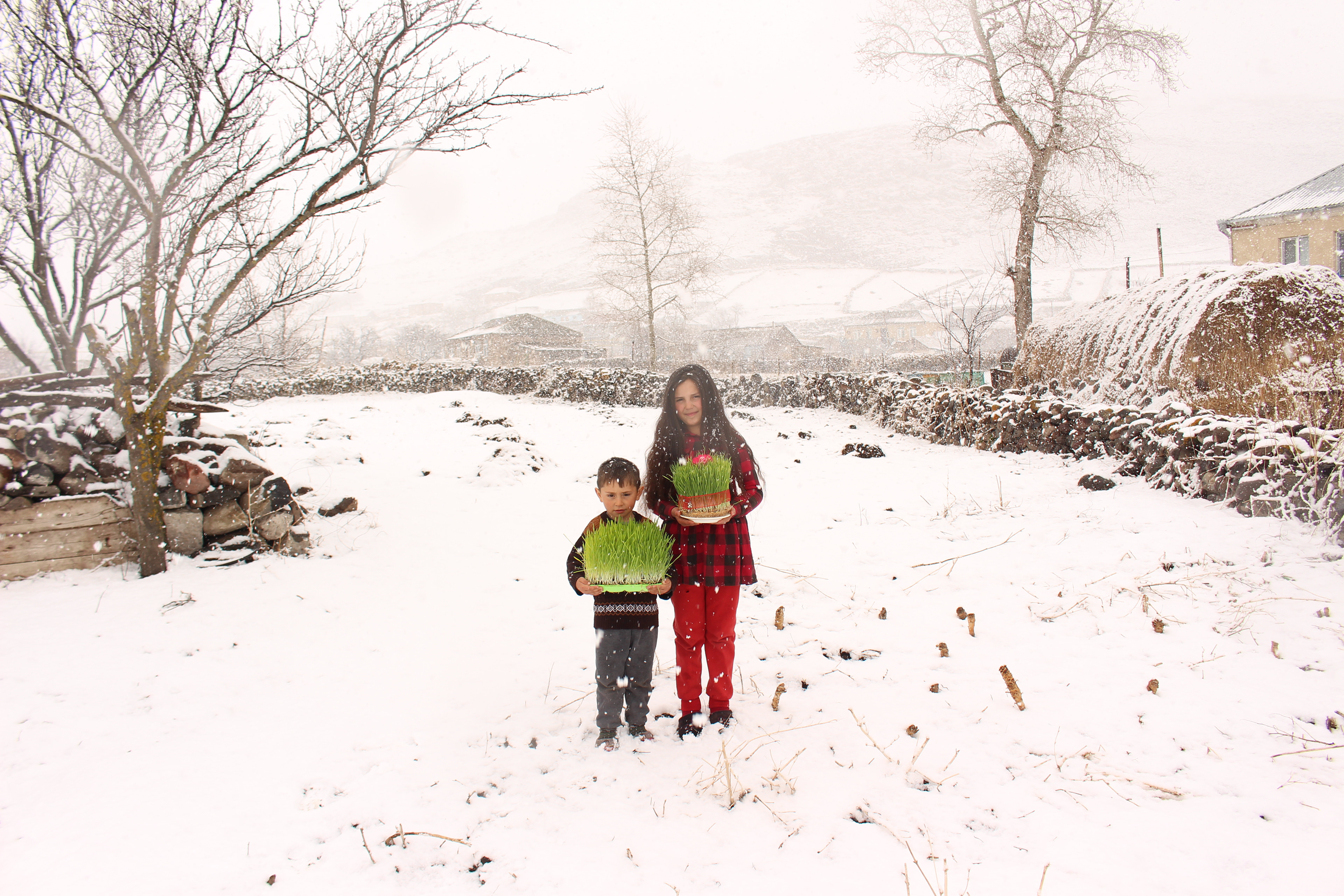 Laile and Muraz, Yetar’s grandchildren, holding boxes full of Samani, sprouted wheat – an auspicious symbol for abundant harvests and prosperity. Grown on a plate, it will become the centerpiece of the Novruz table.
