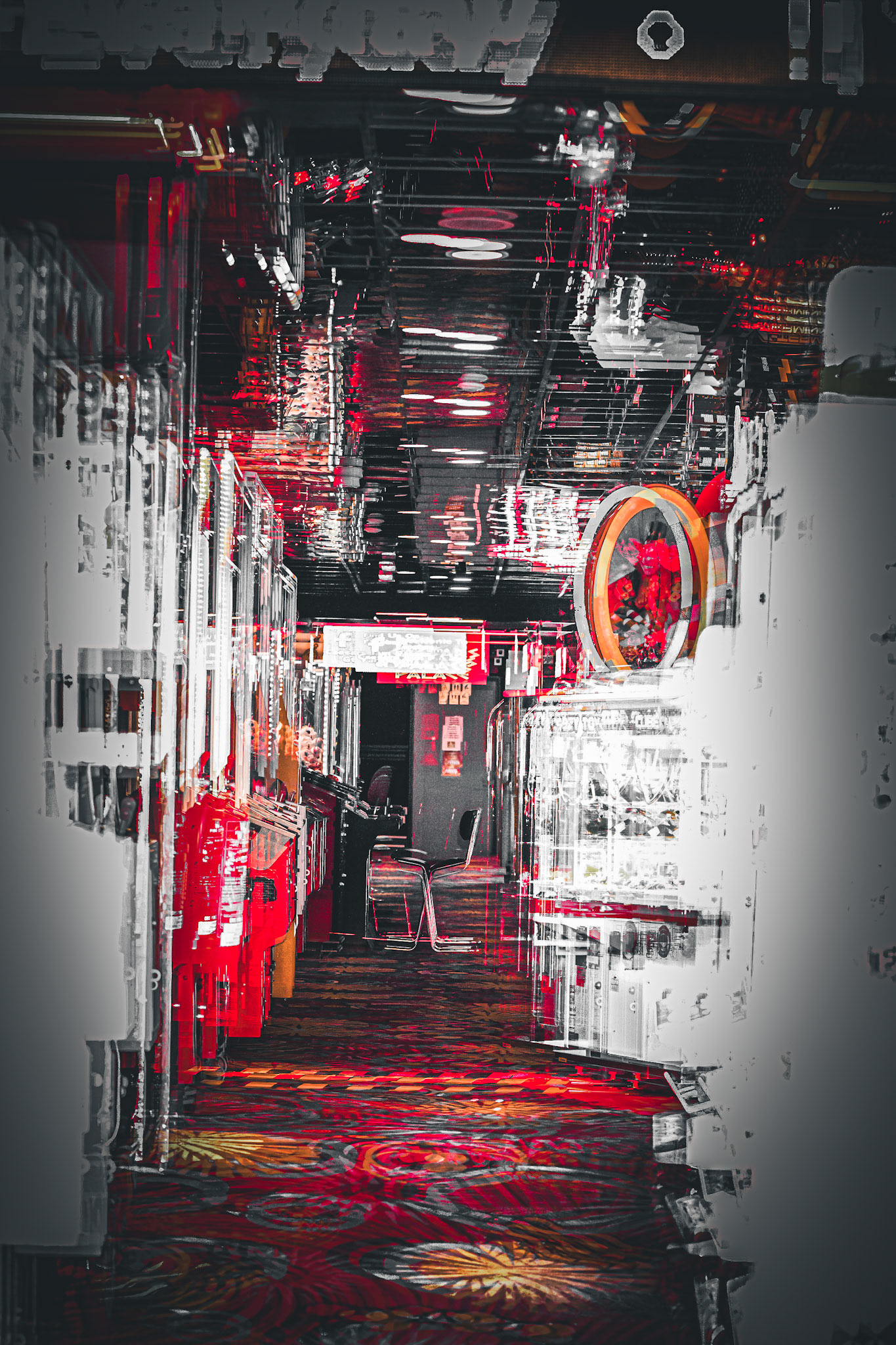 _Z6A3770