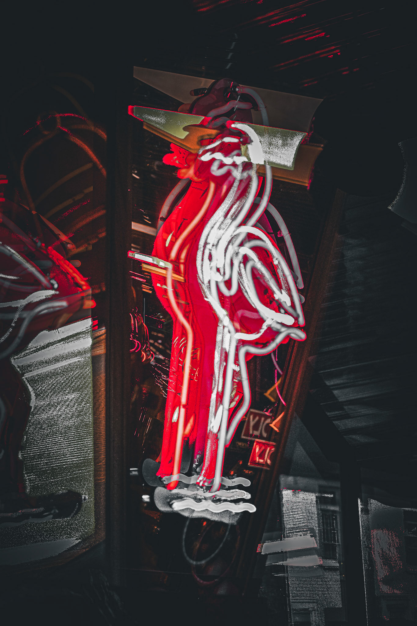 _Z6A3635