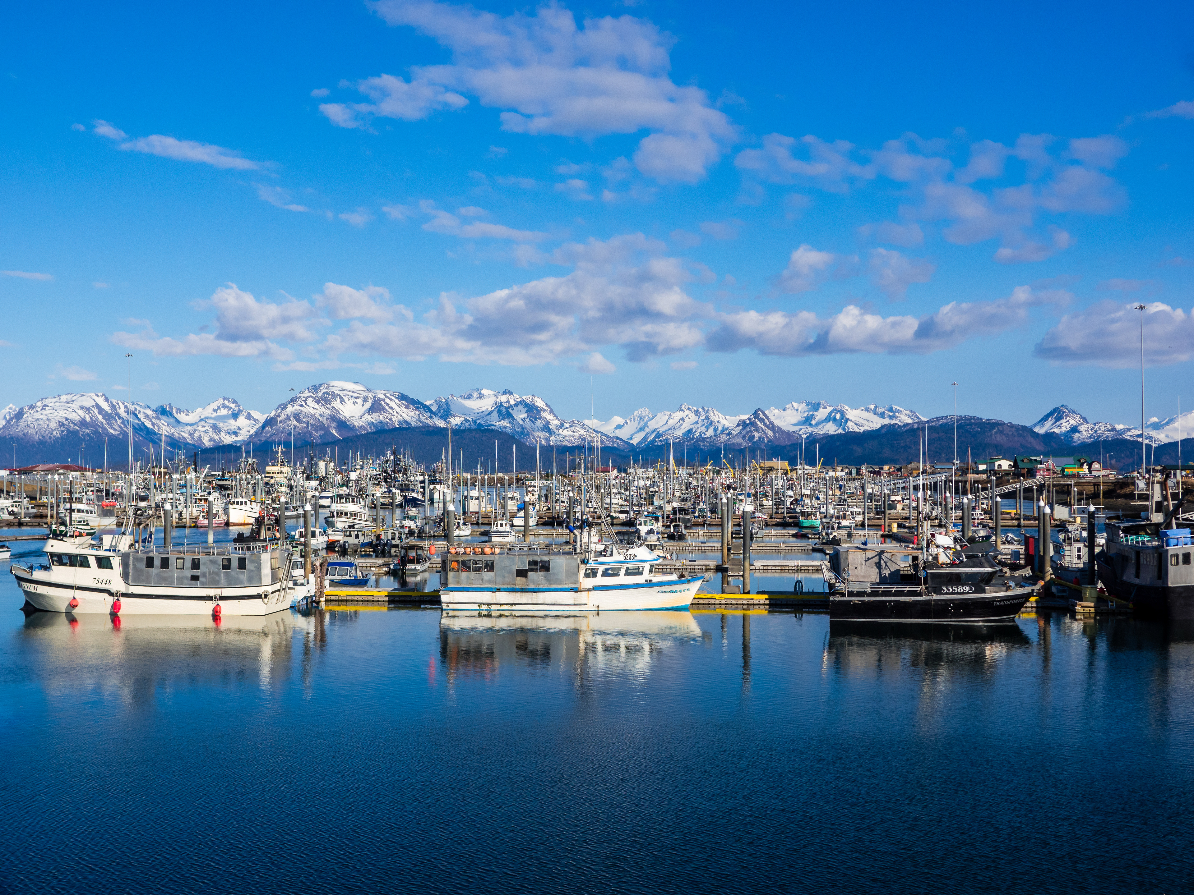 Harbor in Homer, Alaska, USA.
